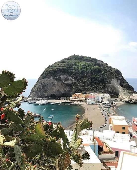Villa Paradiso Sant'Angelo  المظهر الخارجي الصورة